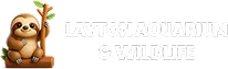 Layton Aquarium Logo