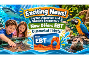 Exciting News Layton Aquarium and Wildlife Encounters Now Offers EBT Discounted Tickets 300x200